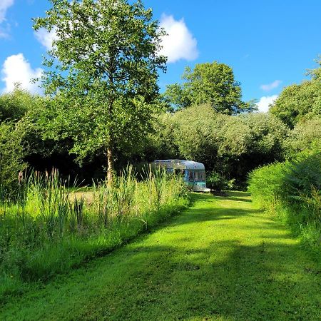 Quirky Eco Stay, Bedding Not Supplied, Peaceful & Private For 2 In Dble Bed Narberth Extérieur photo