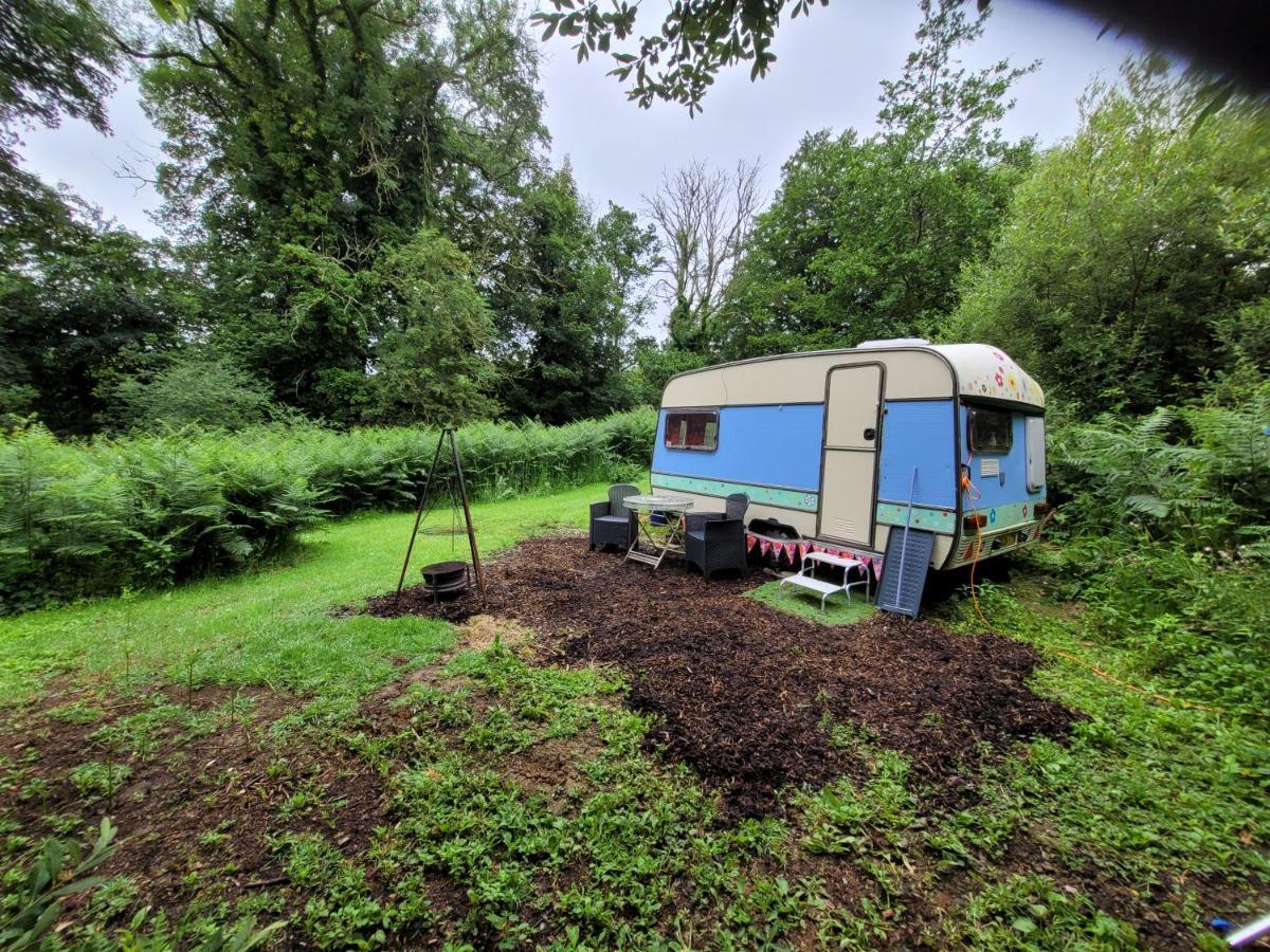 Quirky Eco Stay, Bedding Not Supplied, Peaceful & Private For 2 In Dble Bed Narberth Extérieur photo
