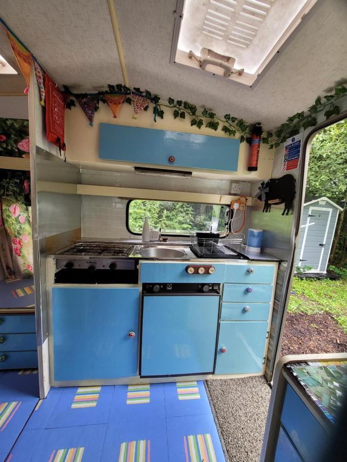 Quirky Eco Stay, Bedding Not Supplied, Peaceful & Private For 2 In Dble Bed Narberth Extérieur photo